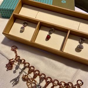 Rose Gold Fossil Charm Bracelet